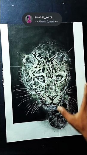 Cheetah Charcoal Drawing | Realistic Wildlife Art | Pencil & Charcoal Sketch
