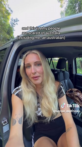 Brown snake in Australia: why people are scared