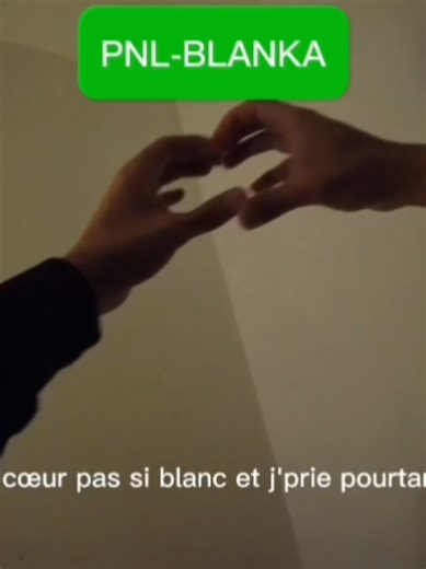 PNL-BLANKA en langage des signes théâtrale #pnl #pnlblanka #blanka #pnldeuxfrères #pourtoi