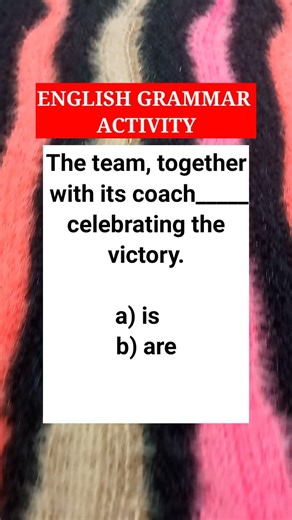 Extra information between commas or introduced by with, along with, together with does not 🕑