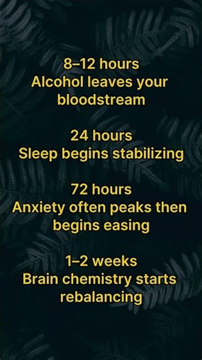 What Happens After You Stop Drinking (Early Sobriety Timeline)