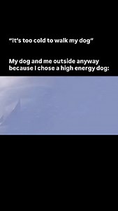 This is why my dogs have booties and sweaters. . All jokes aside Winter storms can be magical until you’re responsible for four paws that don’t know what frostbite is. Keeping our dogs safe in harsh weather means limiting time outside, especially when wind chills drop, and paying attention to paws that can crack or freeze on ice and salt. A quick wipe down after walks goes a long way, and so does a warm, dry place to recover afterward. Make sure they’ve got fresh water that isn’t frozen, extra c