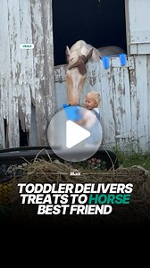 Her little giggles 🥰 | Daily Mail Animals