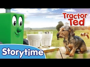 NEW Storytime - Who goes Moo?