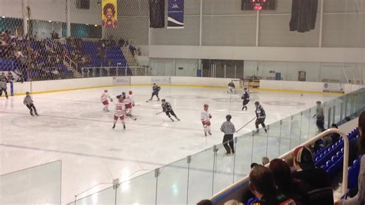 On this day In 2014 - EPL, Sheffield Steeldogs vs Swindon Wildcats Andre Payette vs Ryan Aldridge / Lewis Bell vs Ryan Watt EPL fights 12-1-14 | Hockey Fights UK