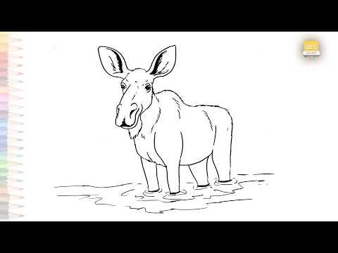 Moose in the water drawing easy | Wild animal sketches | How to draw A Moose step by step #artjanag