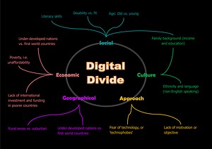 Participation and the Digital Divide