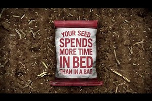 Is your seedbed ready for spring planting? Get to know why your seedbed drives productivity with Case IH: https://bit.ly/2WcnSW7 | Wellington Implement | Facebook