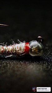 1.4K views · 46 reactions | FLY TYING HACK!! Check out what the body of this Tungsten Surveyor is tied with! Shoutout to Lance Egan for this killer pattern! Semperfli has Dirty Bug Yarn in several different colors! Make sure to check them out! https://www.flyfishfood.com/products/dirty-bug-yarn?variant=37886213685447 | Fly Fish Food | Facebook