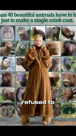 Why Fur Was Falling Out of Fashion? The Industry’s Last Stand Explained!!!