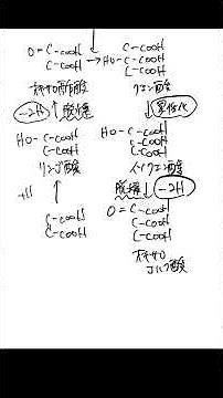 クエン酸回路 構造式