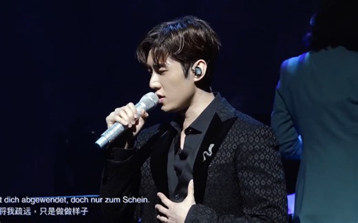 220422 高恩成《Der Letzte Tanz/最后之舞》中德字幕 (音乐剧 伊丽莎白)