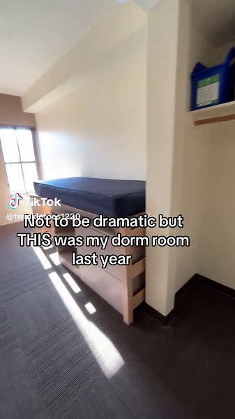 Perfect Dorm Room Experience: A College Retrospective