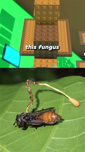 ZOMBIES ARE ACTUALLY REAL!? 😱#robloxrant #rant #fungy