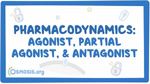 Pharmacodynamics: Agonist, partial agonist and antagonist: Video, Causes, & Meaning | Osmosis