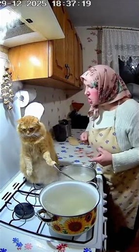 Cat Cooks With Angry Russian Grandma!