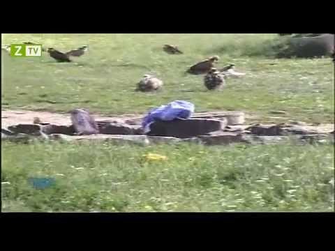 Mê Kông Ký Sự - Tập 1 (Full HD)