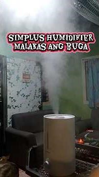 new simplus humidifier for orders checkout here: https://vt.tiktok.com/ZSyLVWqGv/ #simplus #fypシ