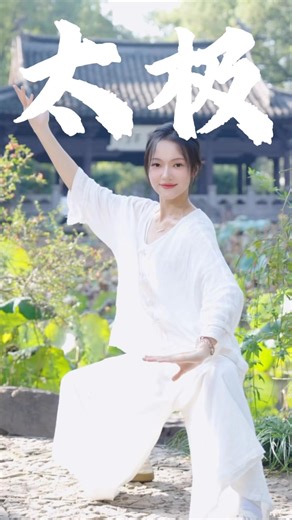 太极主要以女性练习为主，对力量要求较低。#功夫 #武术 #动作 #瑜伽 #健身 #KungFu #china #power #strength #movies #arts