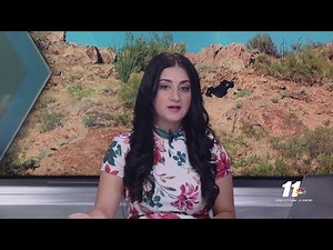 A 14-year-old fell to his death from the new drop tower ride at Florida's ICON Park, ...