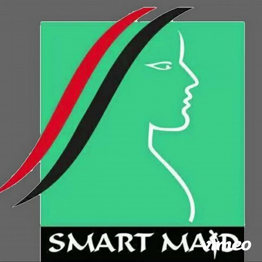smartmaidcleaning على TikTok