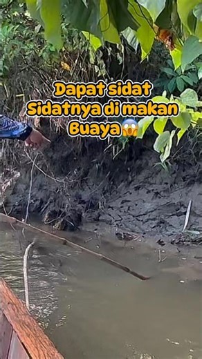 Wow..!!!😱 sidatnya di makan buaya..!!! #petualangalamlampasio #kokiko #mancing