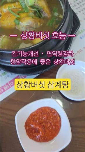 #상황버섯 #효능 #삼계탕 #간기능개선 #항암효과 #면역력강화
