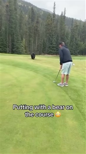 1.4M views · 26K reactions | Give this boy a spot on the card! #comedy #fyp #funny #golfcourse #nope | Trent Ellis | Facebook
