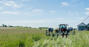 Minnesota Locally Led Conservation and Local Work Groups | Natural Resources Conservation Service