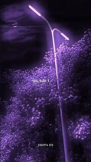 From the Start - Laufey | lyrics | aesthetic | whatsapp Status | English songs | slowed | speed up