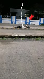 174K views · 346 reactions | सोए इंसान पर गिरी आकाशीय बिजली | कैमरे मैं रिकॉर्ड हुई घटना | #facebook #Live #Horror #scary #video #viral #Aatma #paranormal #Challnage #stories | Devil's night with dharmendra | Facebook