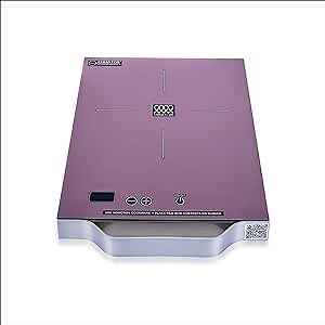 Equator 11" Portable One-Burner Induction Cooktop LIGHT AlumInum Handle 110V