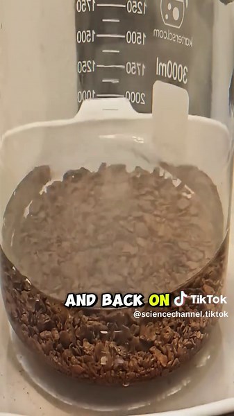 Transforming Old Jewelry into Pure Gold Bars