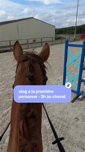 Vlog : Routine Équestre et Balade avec Mon Cheval