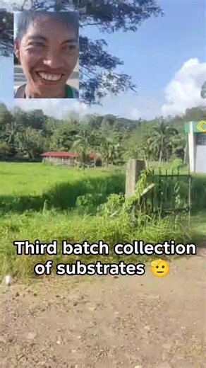 Good afternoon everyone! 🤠 Another collection of substrates for African Night Crawler's food to create Soil Organic Matter.🪱🤠 Soil organic matter (SOM) functions as the "living skin" of the earth, serving as a critical regulator of a soil's physical, chemical, and biological health. Physically, it acts like a sponge to increase water retention and aggregate stability; chemically, it serves as a nutrient battery by holding onto essential minerals through high cation exchange capacity; and biol