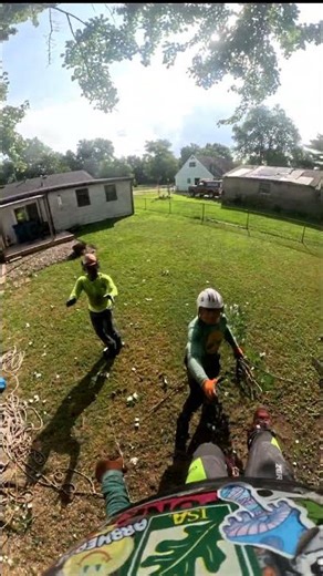 Tree Climber Falls Out of Tree — Rope Saves Him!
