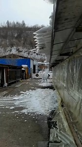 6M views · 12K reactions | Machines Working Humans For Life Improvement | Myles Erlick | Facebook