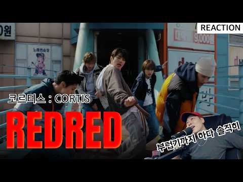 하이브는 얘네 그냥 두세요⎪코르티스 REDRED⎪리액션