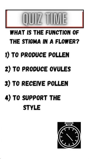 Science quiz 💡