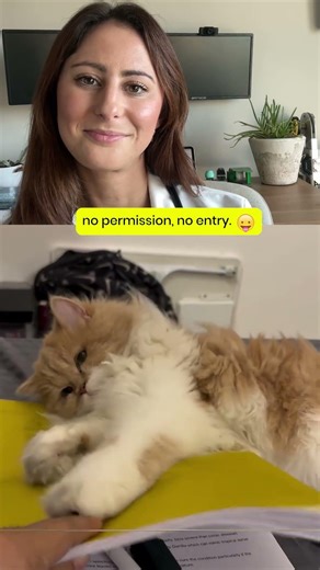 No permission, no entry!