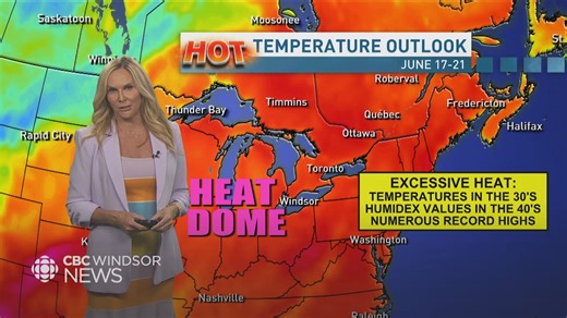 What you should know as temperatures soar in Windsor-Essex