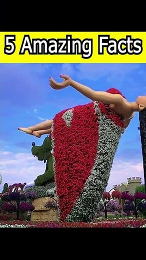 5 Amazing Facts | Interesting Facts | Unknown Facts | Marginal Facts | #shorts #youtubeshorts