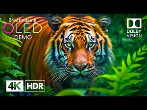 Real 4K HDR 120fps - Breathtaking Dolby Vision (4K Video) ULTRA HD