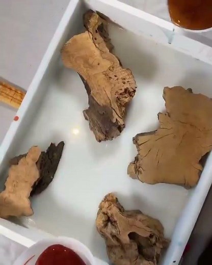 Easy Small Wood Projects For Beginners - Crafty Panda woodworking