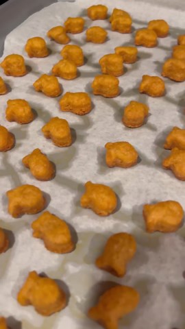 Becky’s Acre Homestead on Instagram: "Full Video on my YouTube! When your husband loves snacks but you are in a pantry challenge and you are working of building your culinary skills you make him his favorite snacks! #cookingfromscratch #threeriverschallenge #oreos #goldfishcrackers"