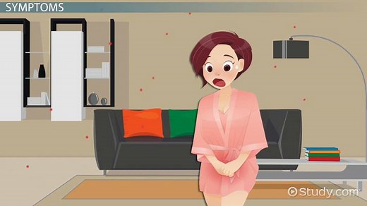 Bird Mites | Overview, Symptoms & Treatment