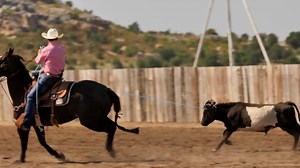 How exactly do you create and reinforce a slide in a heel horse? Miles Baker talks about how he uses his left hand in the stop and how that affects the finish of his run. Watch more with Miles: bit.ly/BakerM cc: Relentless Remuda | The Team Roping Journal Magazine | Roping.com
