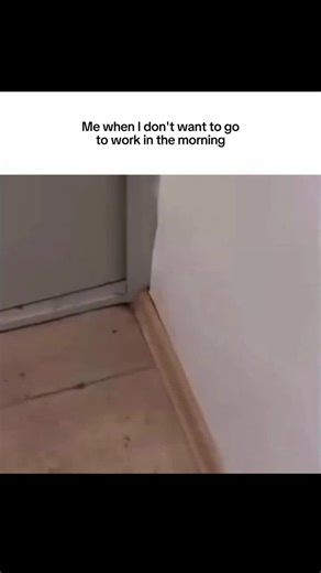 Emma | AI project manager on Instagram: "Follow if you work in corporate too 💻 #projectmanager #projectmanagement #project #manager #pm #work #job #office"