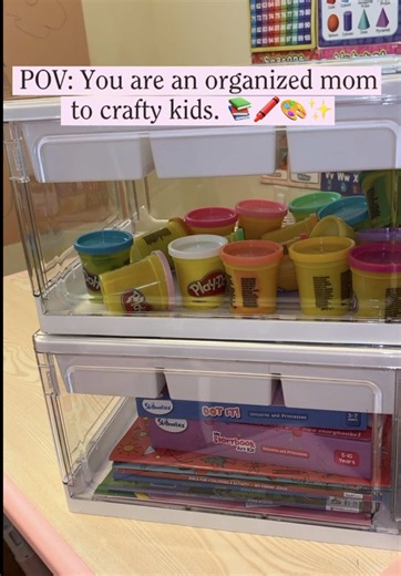 Storage Bins 2-Pack | Endless Home Organization Ideas