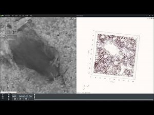 Portal triade in mouse liver
